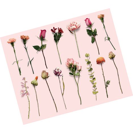Lot de 30 stickers plantes fleurs rétro, pour scrapbooking et ordinateur, rosé, décorations adhésives (1/5)