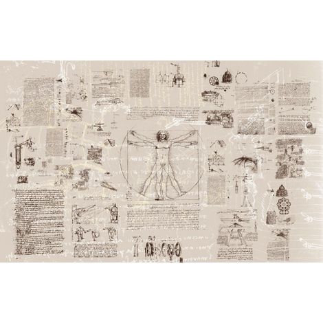 Papier peint panoramique moderne,modern Da Vinci (1/3)