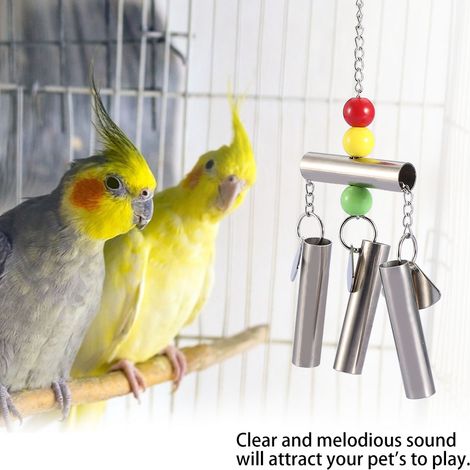 Clochette en acier inoxydable pour oiseaux de taille moyenne, jouet à poser pour perroquet, décoration de cage (1/4)