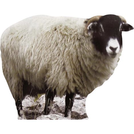 Figurine en carton Le mouton -Haut 63 CM