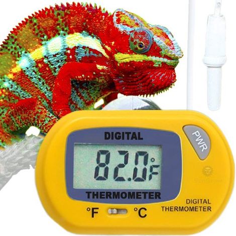 Termometro digitale a forma di rettile, 3,8 cm x 5,8 cm x 1,2 cm, display ben leggibile, giallo, senza batterie, 1 pezzo (1/4)