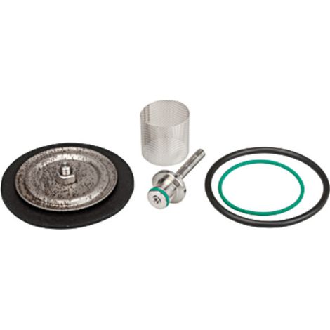 Riegler Verschleißteilesatz mit PTFE-Membrane, G 1/2 (1/2)