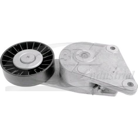 3RG 13203 RODILLO TENSOR