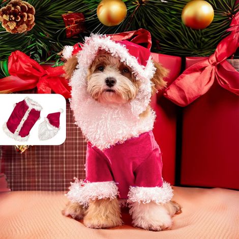 Costume Chien - Noel - Rouge - Pour Chiens et Chats de Petite Taille - Polyester - Tailles S à XL - 1 Pièce (1/5)