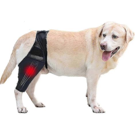 Attelle de soutien du ligament croisé pour chien - Genouillère stabilisatrice pour animaux actifs (1/5)