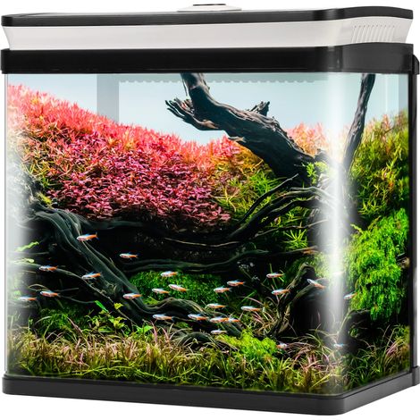 SunSun HGR-300 - Kit aquarium noir 14 l (1/5)