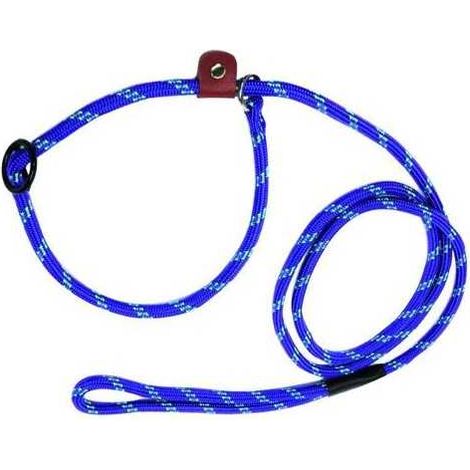 Correas para perros de nylon Blinky con lazo de 1 cm / Sección cm. 150