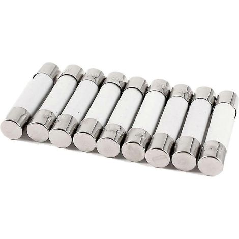 Fusibles cylindriques en céramique 250 V 30 A 6 x 30 mm - Lot de 10 pour le marché européen (1/2)