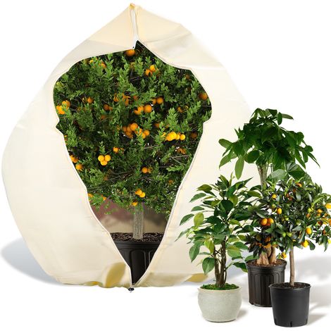 Randaco Pflanzen Winterschutz 250x360cm 100g/m2 Dickes Material Reißfest Waschbar Pflanzen überwinterungszelt Wintervlies - 2er (1/5)