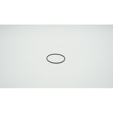 BWT O-Ring für Aktivkohlefilter DN 20, 1-902736