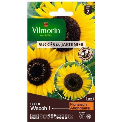Sachet graines Tournesol Soleil Waooh