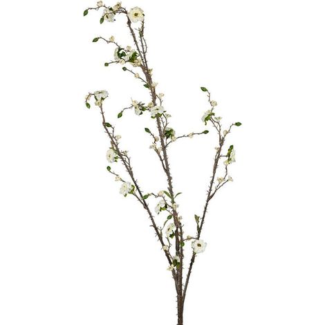 Fleur Heliopsis Écru Tige Géante 108cm (1/3)