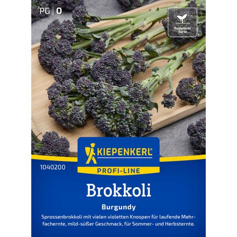 Kiepenkerl Profi-Line Saatgut Brokkoli Burgundy F1 für ca. 12 Pflanzen (1/2)