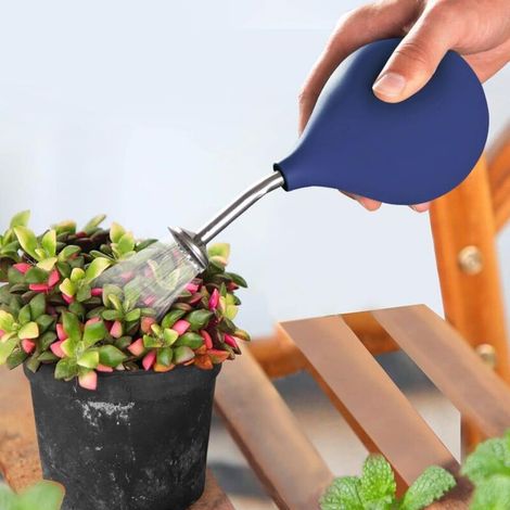 Bardusch-Arrosoir en acier inoxydable - Arrosoir - Alternative pour les petites plantes - Boutures de fleurs et semis - Bleu (1/4)