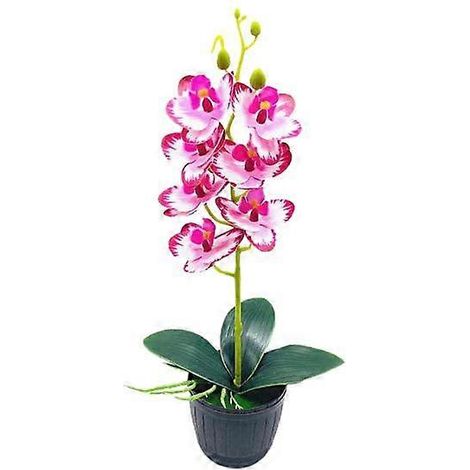 Orchidée artificielle en pot, présentoir en plastique aspect naturel, plante en pot décorative.rose foncé (1/5)