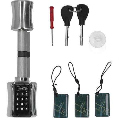 Serratura intelligente, 30 set di password, scheda IC 200, chiave meccanica, sblocco elettronico per la casa.