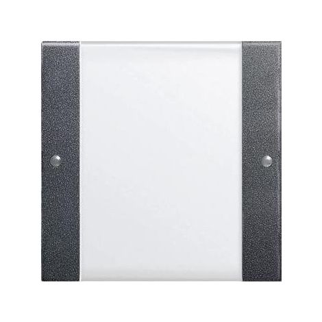 Gira Wippenset 1f BSF System 55 Klar/Anthrazit 213128 (1/5)
