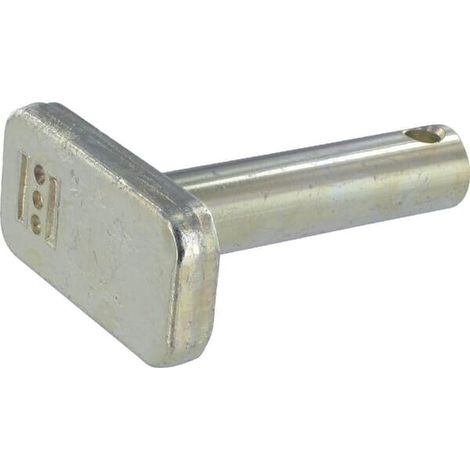 Pivot MASSEY FERGUSON 4302154M2