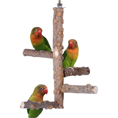 Jouet de perroquet, jouet à mâcher, cloche de balançoire, support d'activité en bois de poivre (1/5)