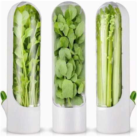 Set di 3 contenitori per erbe aromatiche da frigorifero, per conservare erbe fresche in frigorifero, ideale per coriandolo e asparagi. (1/4)
