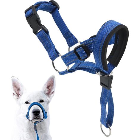 Muselière réglable pour chien (tour de cou 42-53 cm) - Muselière bleue réfléchissante (1/5)