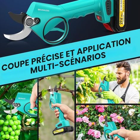 Secateur Electrique Sans Fil, 33mm, 800W Motor Sans Balais Secateur Electrique avec Lames de Rechange (1/2)