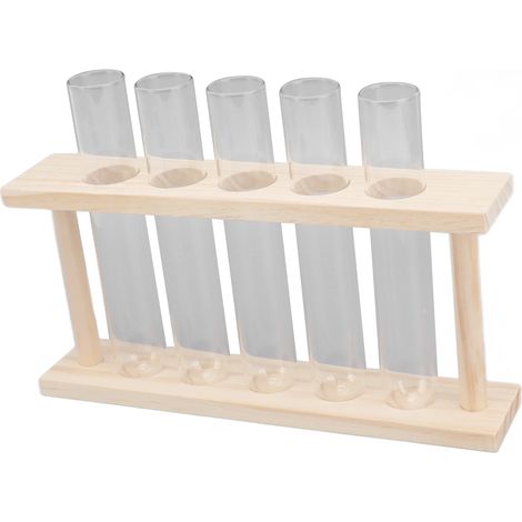 Terrarium transparent à 5 tubes à essai pour plantes, avec support en bois et porte-plantes pour observer leur croissance. (1/5)