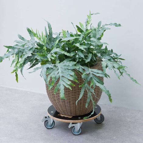 Support de pot roulant carré - NATURE - En bois FSC - Charge maxi 250 kg (1/2)