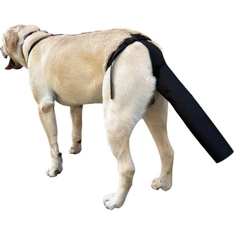 Protección para la cola del perro - Cubrecolas para heridas - Talla M, Negro (1/5)