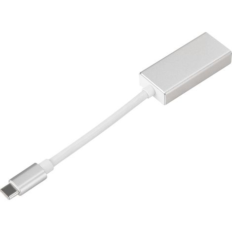 Câble d'extension vidéo HD 1080p USB-C vers Mini DP, transmission haute vitesse, argent (1/5)