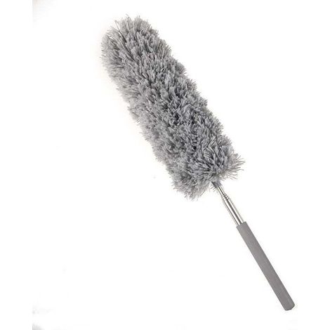 Plumeau Poussière,Plumeau Télescopique Microfibre avec Poignée en Acier Inoxydable Plumeaus Lavable Parfait pour Éliminer la Poussière chez Vous ou dans Votre Voiture (1/4)