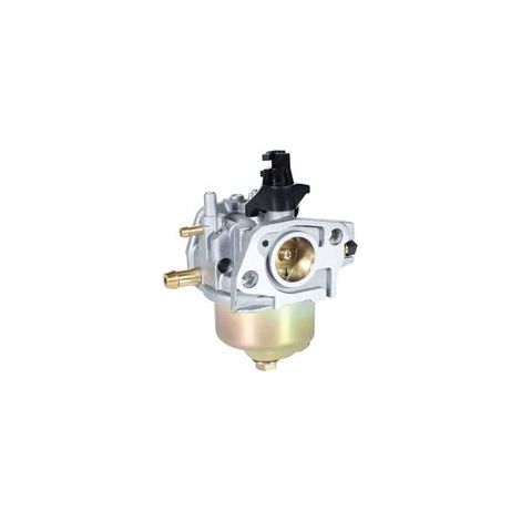 Carburateur MTD Troy-Bilt 1T65B 751-05221 pour moteur (1/4)