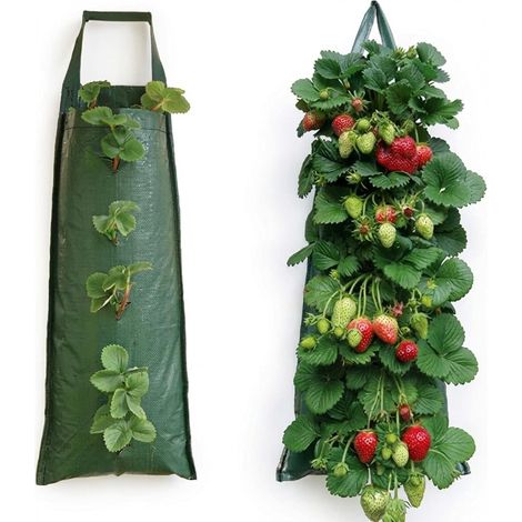 Sacs de culture suspendus pour fraises, adaptés à la culture de fruits, d'herbes et de fleurs, traités anti-UV. (1/5)