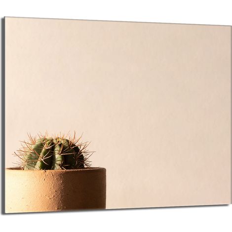 Protector de cristal para estufa 60x52 Cactus (1/5)