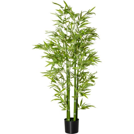 Bambù Finto Alto 150cm Vaso Incluso Interno Esterno