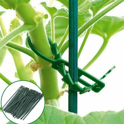 200 Pièces Lien pour végétaux Attaches Torsadées Réglables pour Plantes de Jardin, Vert Multi-Fonction Robuste Attache Torsadée pour Plantes ( 13CM et 17CM)