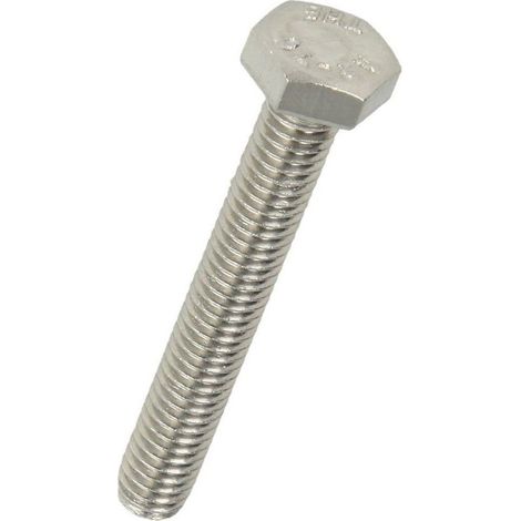 Vis hexagonale inox M10 x 12 mm