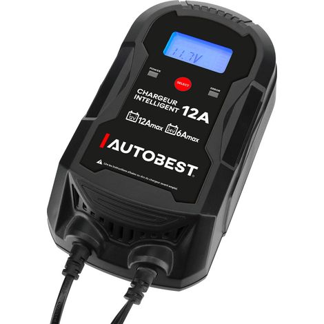 Chargeur et maintien de charge automatique intelligent 12V-12A/24V-6A