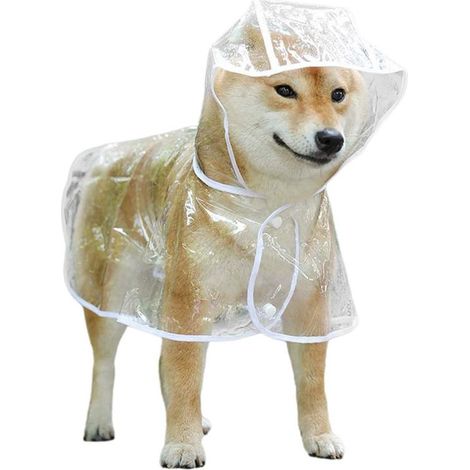 Impermeabile trasparente per cani. Protezione completa, poncho antipioggia a prova di morso per Golden Retriever, Samoiedo e Schnauzer. (1/5)