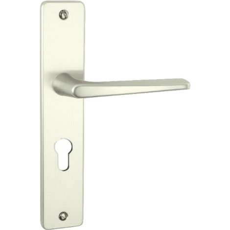 Ensemble de porte Riviera BEZAULT Entraxe 195 mm Argent - Clé i - 0072775 (1/5)