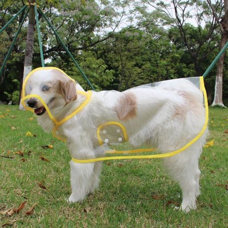 Veste de Pluie pour Chien, Manteau Imperméable avec Capuche, Réglable pour Chiens de Petite, Moyenne et Grande Taille( S jaune )