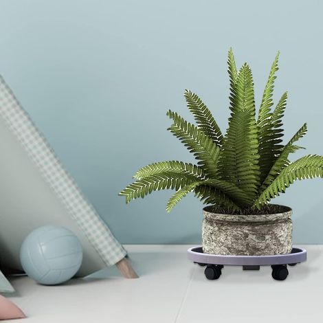 Soucoupe pour Pot De Fleur à roulettes, Support pour en Pot Rond sur Roues avec roulettes Faciles à Déplacer Plateau De Chariot pour Chariot à Fleurs pour Arbre D'intérieur Extérieur (1/5)