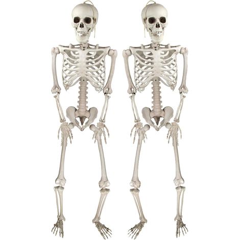 Deco Halloween Squelettes Réalistes Décorations Squelette d'halloween Posable pour Intérieure et Extérieure, Accessoires Fête Halloween -2PCS- (1/5)