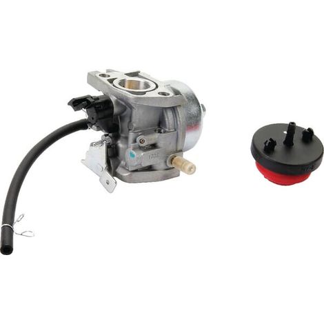 Carburatore completo AL-KO AK412430 (1/2)