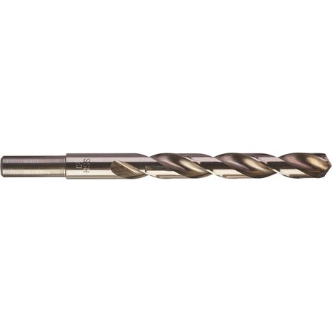 PUNTE METALLO HSS- G - DIN 338 DIAMETRO 12 LUNGHEZZA 151 LUNGHEZZA UTILE 101 PEZZI A CONFEZIONE 5 cod 4932352403 (1/3)
