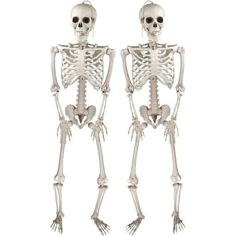 Deco Halloween Squelettes Réalistes d'Posable pour Intérieure et Extérieure, Accessoires Fête Halloween -2PCS- (1/5)