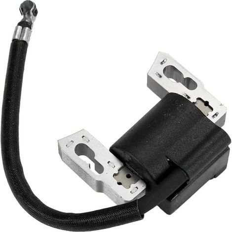 Bobine d'alltoage Briggs & Stratton – Réf. 797040 / 490586 / 491312 / 492341 (1/5)
