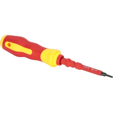 Tournevis isolé à embouts cruciformes 2 usages - Outils à main pour électriciens - 21826 (1/5)