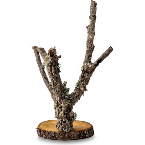 BioBranch Tree 60cm Quercia da sughero (1/5)