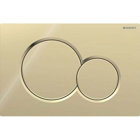 Geberit Sigma01 flush plate for dual flush: special galvanised brass (115.770.DT.5) (1/4)